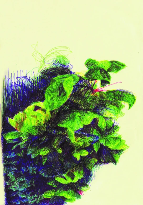 Buisson%2520Cendrine%2520Bonami%2520Redler.jpg