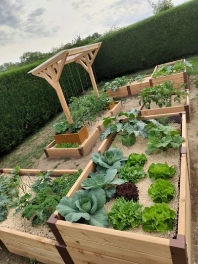 Potagers autonomes