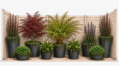 Horticulture & Jardins