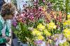 Exposant Orchidées de Prestige