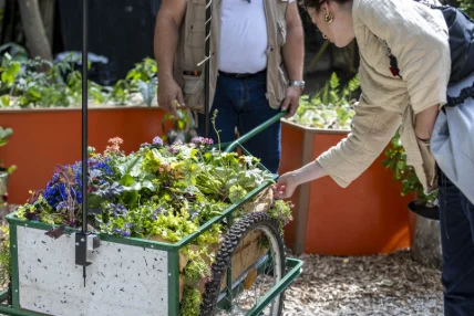 Ecologie, transmission et plaisir de cultiver.