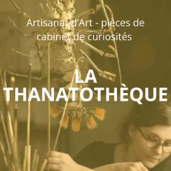 LA THANATOTHÈQUE