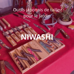NIWASHI