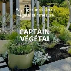 CAPTAIN VEGETAL