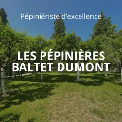 PÉPINIÈRES BALTET-DUMONT