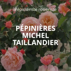 PÉPINIÈRES TAILLANDIER