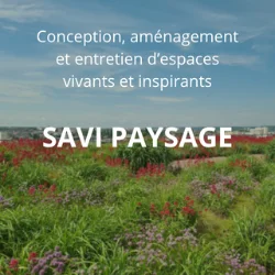 Savi Paysage