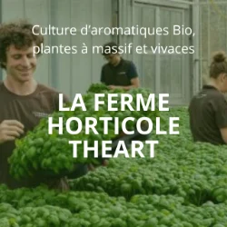 LA FERME HORTICOLE THEART
