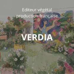 VERDIA