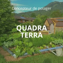 QUADRA TERRA