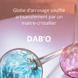 DAB'O
