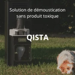 QISTA