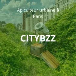 CITYBZZ