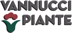 Vannucci Piante