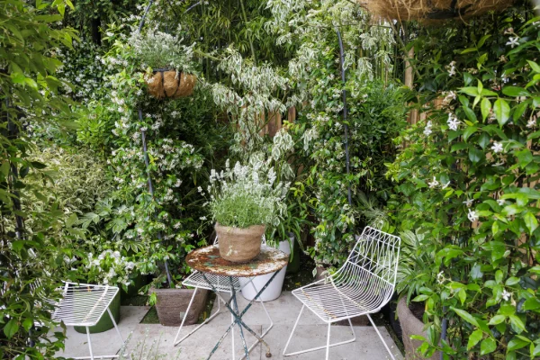 JJ2024-Petit-Jardin-Urbain-05481.jpg