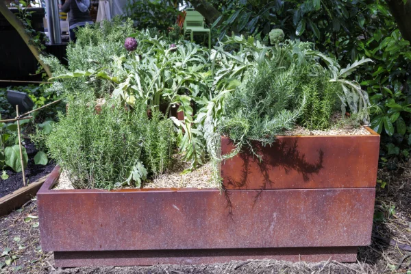 JJ2024-Petit-potager-0975.jpg