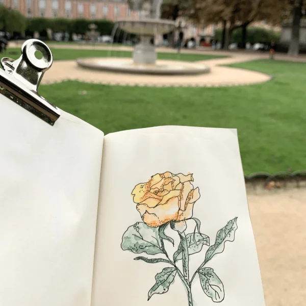 auarelle-couleurs-automne-paris.png