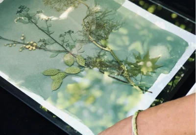 Activité cyanotype
