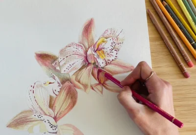Activité dessin botanique